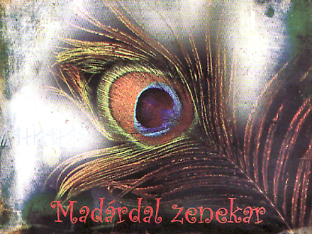 Köszöntő - Madárdal Zenekar - dal