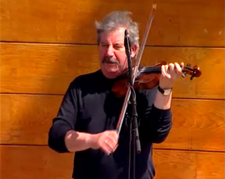 Zöld erdőben  - Fábián Éva - dal