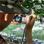 FotoZoo - microsuli